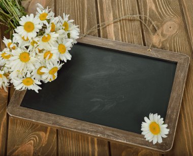 yazı tahtası ve papatyalar