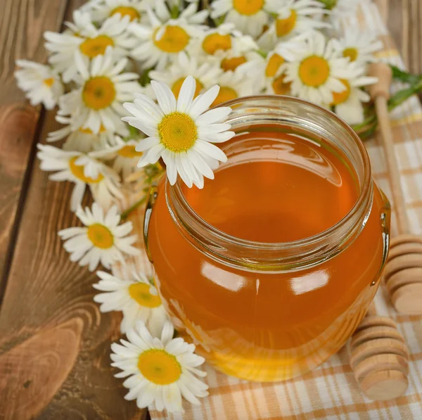 Miele e camomilla — Foto Stock