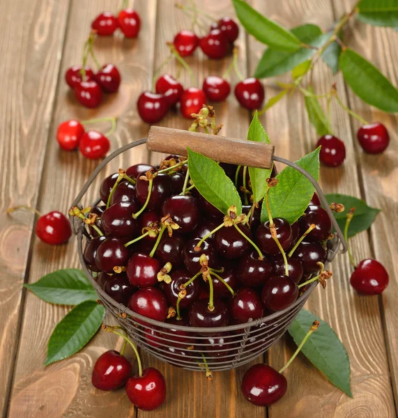 Fresh cherries in a basket — Stock Photo, Image