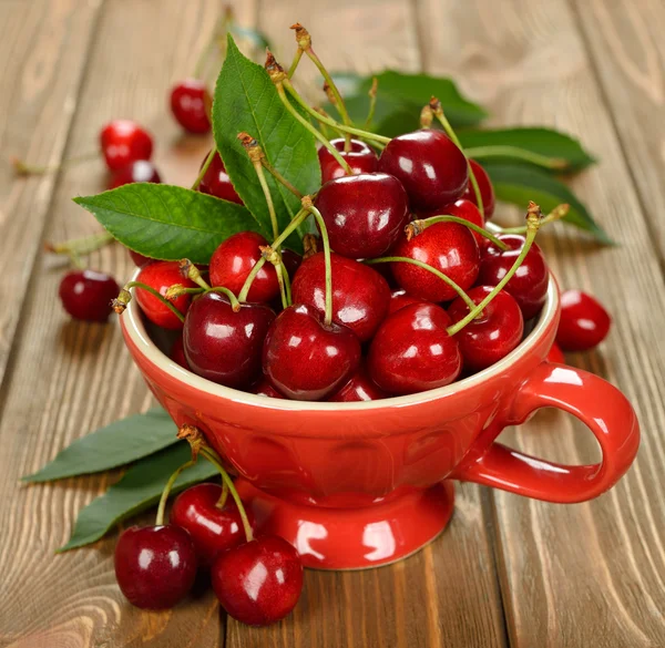 Cerezas frescas en un tazón —  Fotos de Stock