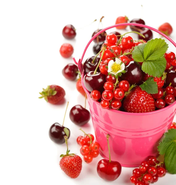 Various berries in a bucket — Stock Photo, Image