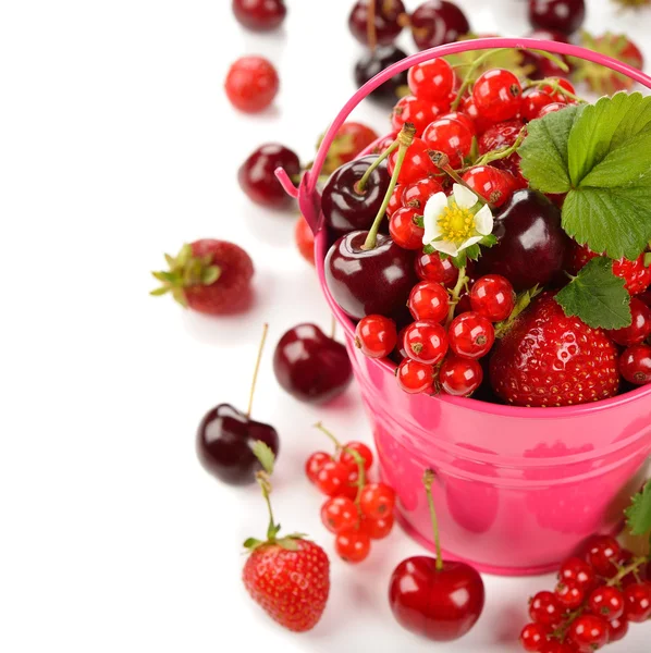Various berries in a bucket — Stock Photo, Image