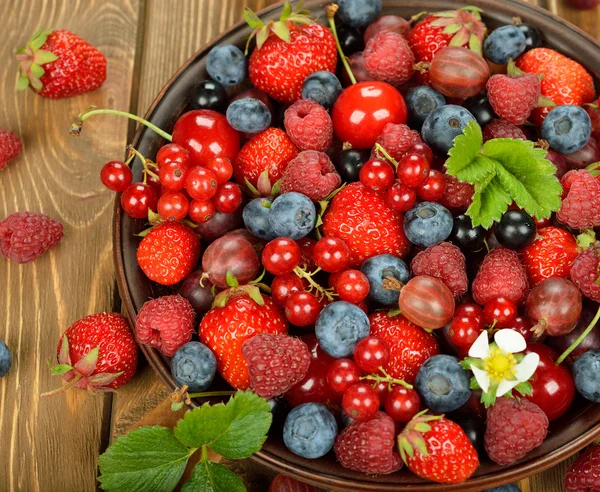 Verschiedene Beeren — Stockfoto