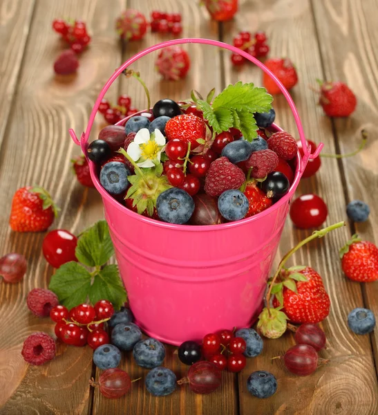 Various berries in a bucket — Stock Photo, Image