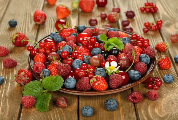 Verschiedene Beeren — Stockfoto