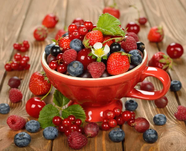 Various berries — Stock Photo, Image