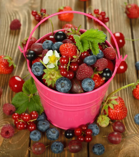 Различные ягоды в ведре — стоковое фото