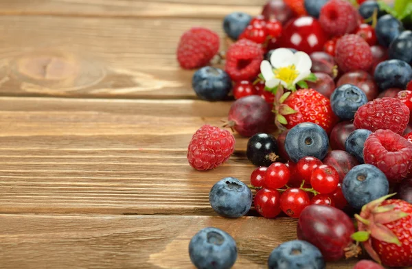 Berbagai buah berry — Stok Foto