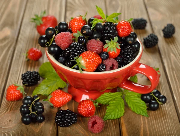 Various berries — Stock Photo, Image