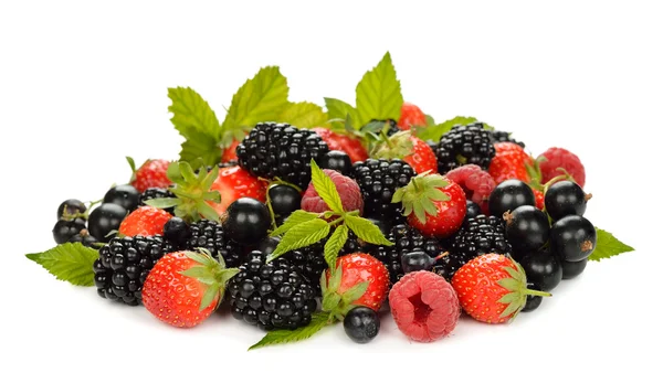 Various berries — Stock Photo, Image