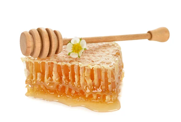 Honey comb — Stock Photo, Image