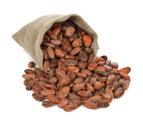 Cocoa beans in a bag — Stock Photo, Image