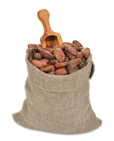 Frijoles de cacao en una bolsa — Foto de Stock