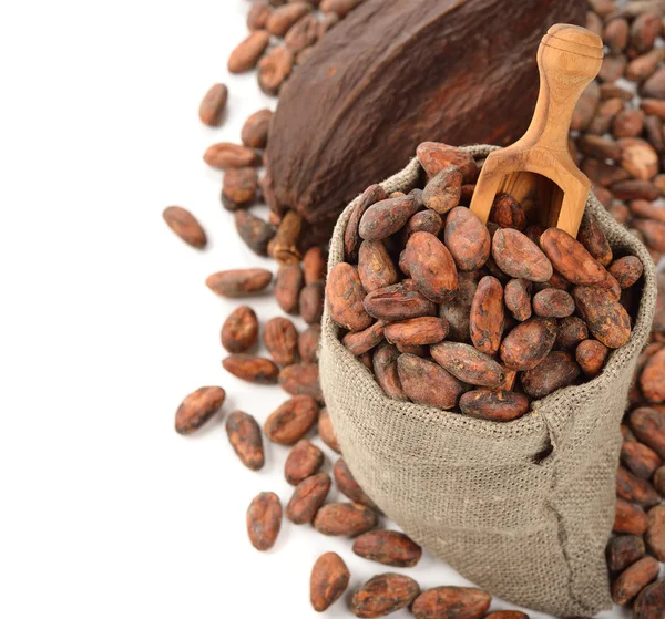 Frijoles de cacao en una bolsa — Foto de Stock