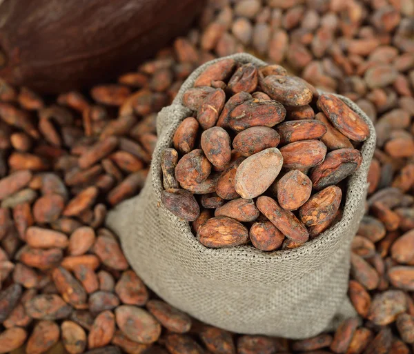 Frijoles de cacao en una bolsa —  Fotos de Stock