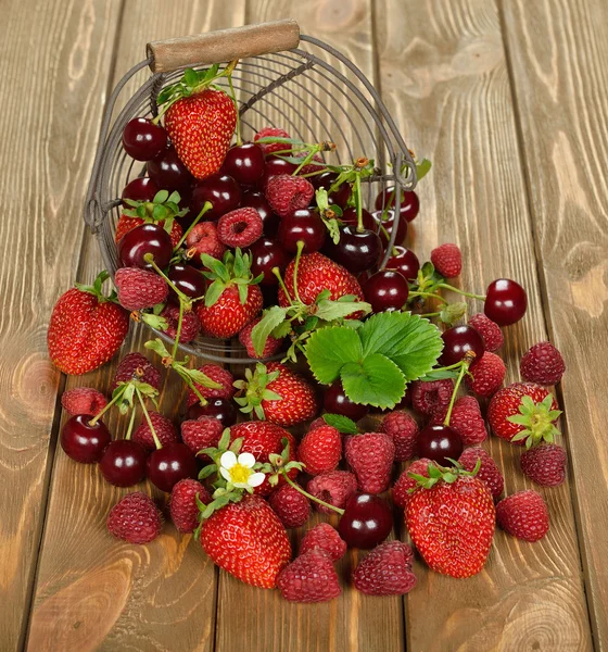 Sepet içinde çeşitli meyve — Stok fotoğraf