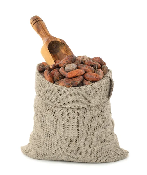 Cocoa beans in a bag — Stock Photo, Image
