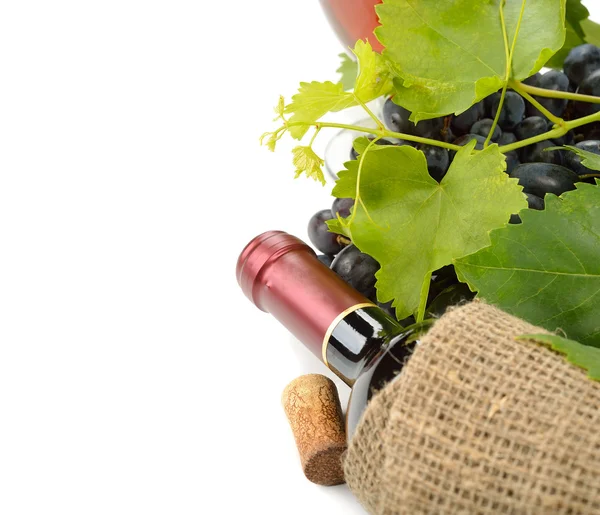 Bottle of wine and grapes — Stock Photo, Image