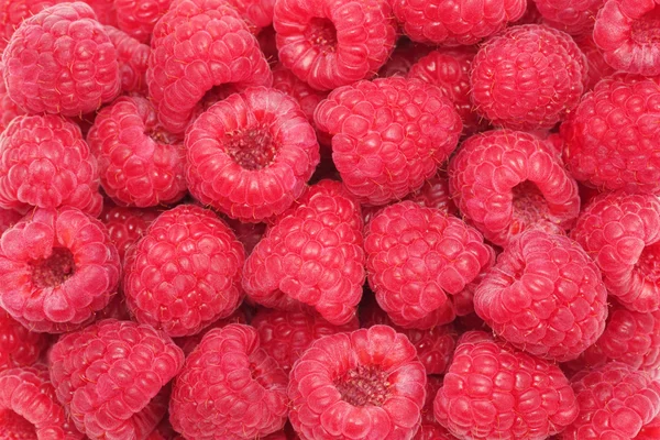 Ripe raspberries. Background — Stock Photo, Image