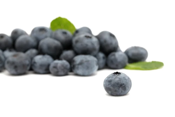 Pile of ripe blueberry — Stock Photo, Image