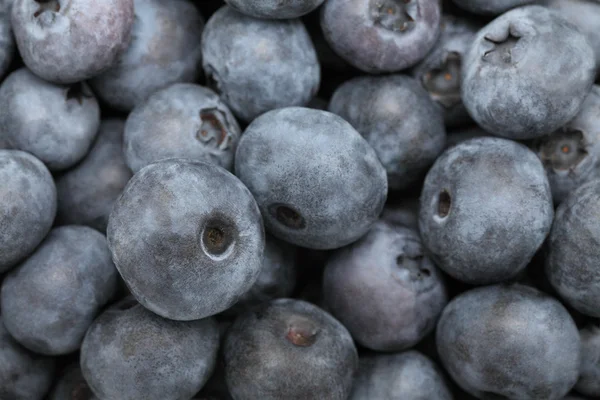 Ripe blueberry. Background — Stock Photo, Image