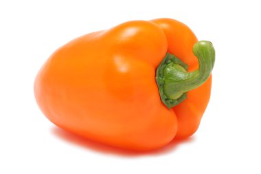 (İzole turuncu Bulgar perrer)