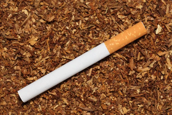 Dağınık tütün arka plan üzerinde Sigara — Stok fotoğraf