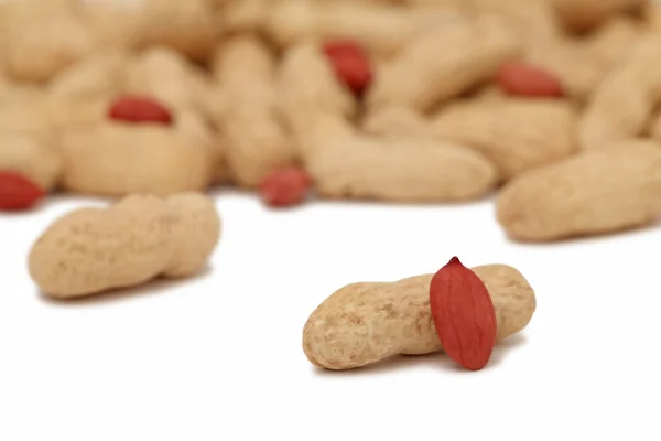 Rozptýlené arašídy na bílém pozadí — Stock fotografie