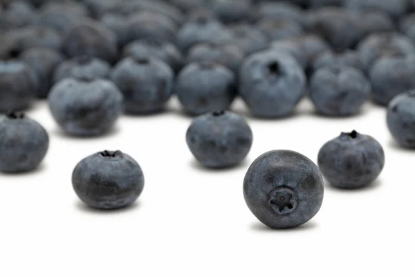 在白色背景上的分散的蓝莓 — 图库照片