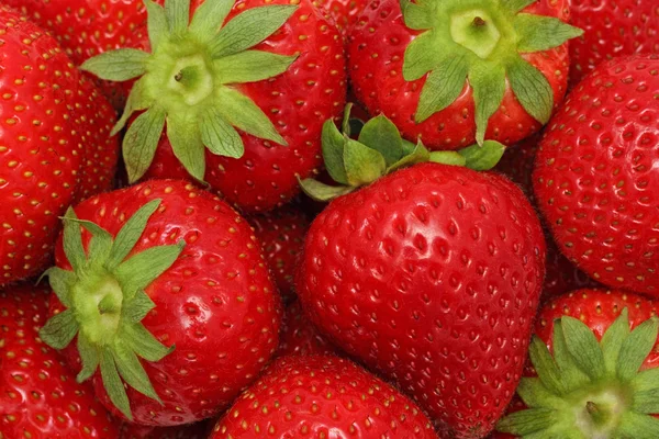 成熟的草莓。背景 — 图库照片