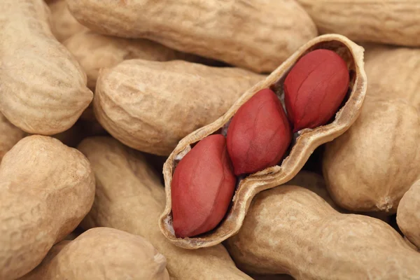 Detailní pohled na arašídy — Stock fotografie