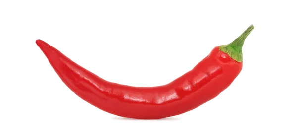 Närbild på hela röd chili peppar (isolerad) — Stockfoto