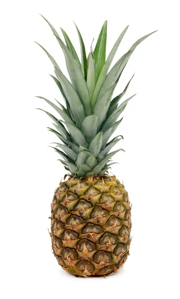 One whole ripe pineapple (isolated) — Stock Photo, Image