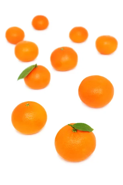 Verspreide mandarijnen op witte achtergrond (verticaal schot) — Stockfoto