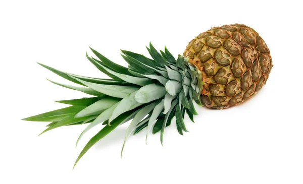 Ripe pineapple on white background — Stock Photo, Image