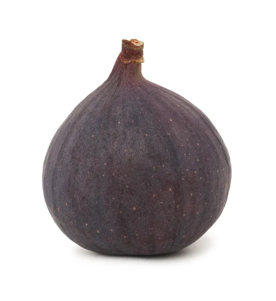 Een rijpe fig (geïsoleerd) — Stockfoto