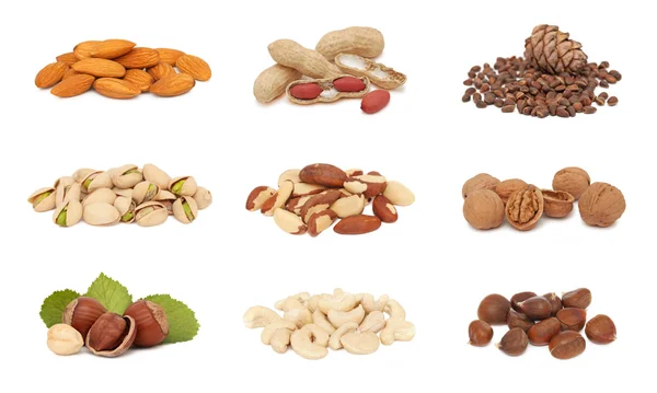 Piles of nuts collection — Stock Photo, Image