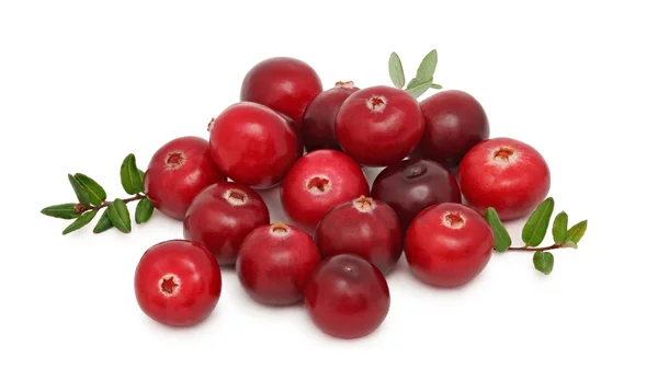 Pile of ripe cranberries (isolated) — Stock Photo, Image