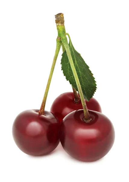 Ripe cherry with green leaf (isolated) — Stock Photo, Image