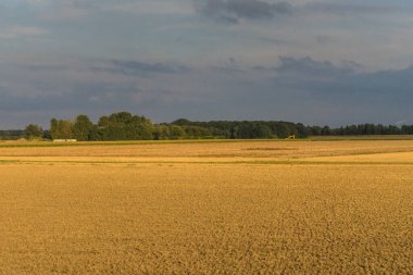 Antwerp, Belçika, Avrupa, Antwerp 'ten.
