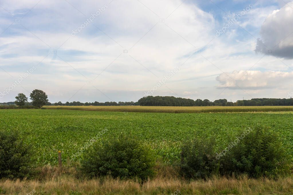 Antwerp, Belgium, Europe, a large green field with trees in the background