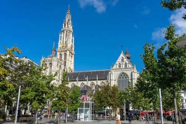 Antwerpen België Sep 2016 Gedecoreerde Onze Lieve Vrouwekathedraal Antwerpen België — Stockfoto