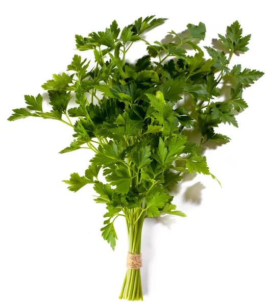 Bunch of fresh green curly parsley — Stock Photo, Image