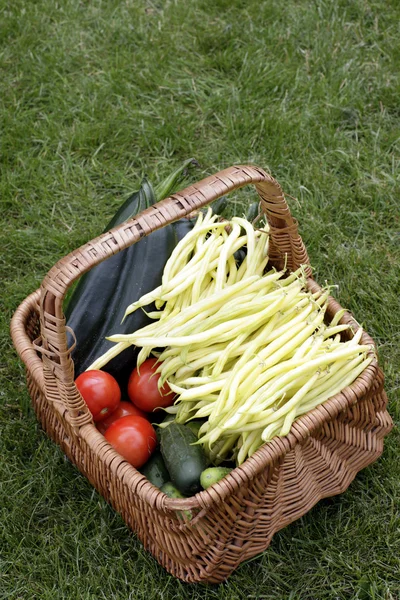 Panier avec légumes frais — Photo
