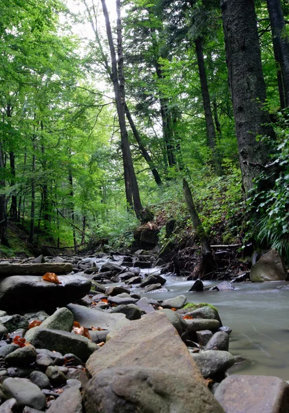 Río de montaña — Foto de Stock