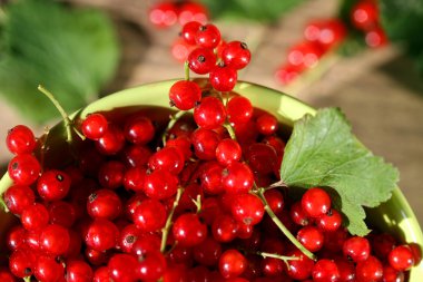 Ahşap arka plan üzerinde kase taze kırmızı kuş üzümü. 