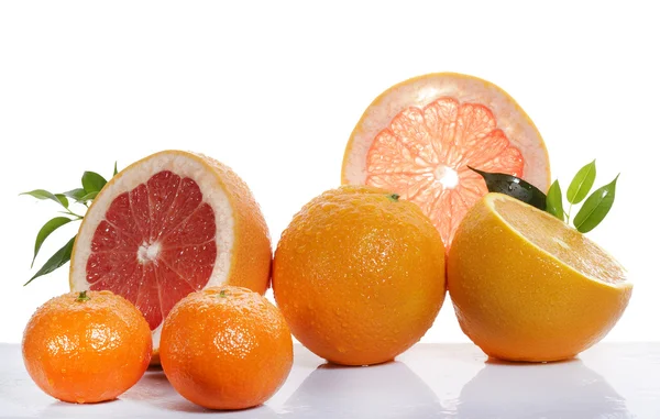 Set of citrus fruit on white background — Stock Photo, Image