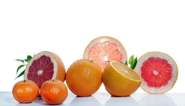 Set of citrus fruit on white background — Stock Photo, Image
