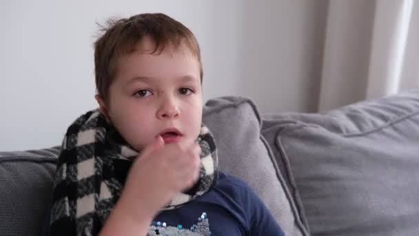 Egy kisfiú beteg, köhög, sálat visel a nyakában. Vírusbetegség, megfázás, influenza, fogalom — Stock videók