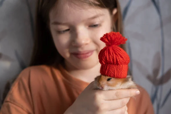 Kırmızı şapkalı sevimli, tüylü, kızıl bir hamster. Yeni yıl ve Noel konsepti